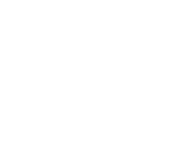 MINES SAINT ETIENNE