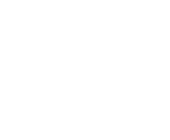 CENTRALE LYON